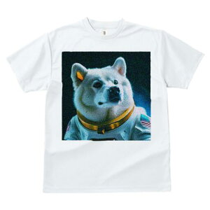 Č TVc  j[NfUCfB[X t@  t vg lJWA 킢 lԗp Mtg I ҏ΍ F Č AJ