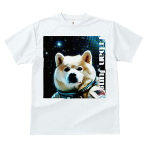 Č TVc  j[NfUCfB[X t@  t vg lJWA 킢 lԗp Mtg I ҏ΍ F Č  AJ