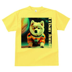 Č TVc  j[NfUCfB[X t@  t vg lJWA 킢 lԗp Mtg I ҏ΍ F Č