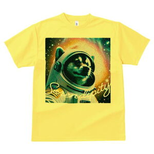 nXL[ TVc  j[NfUCfB[X t@  t vg lJWA 킢 lԗp Mtg I ҏ΍ F nXL[ Fsm Xy[X wbg