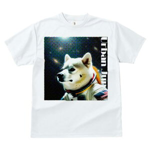 Č TVc  j[NfUCfB[X t@  t vg lJWA 킢 lԗp Mtg I ҏ΍ F Č AJ