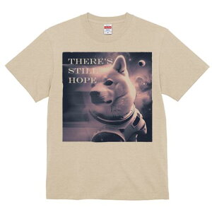 Č TVc  j[NfUCfB[X t@  t vg lJWA 킢 lԗp Mtg I ҏ΍ F Č F 