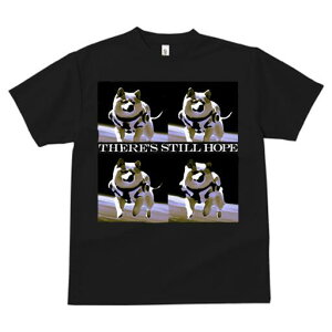 Č TVc  j[NfUCfB[X t@  t vg lJWA 킢 lԗp Mtg I ҏ΍ F Č