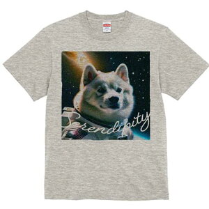 Č TVc  j[NfUCfB[X t@  t vg lJWA 킢 lԗp Mtg I ҏ΍ F Č Xy[X F