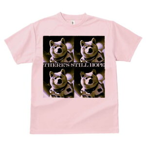 Č TVc  j[NfUCfB[X t@  t vg lJWA 킢 lԗp Mtg I ҏ΍ F Č F