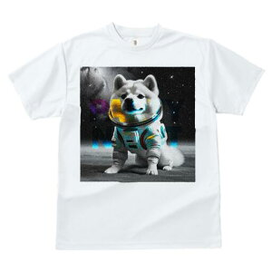 Hc TVc  j[NfUCfB[X t@  t vg lJWA 킢 lԗp Mtg I ҏ΍ F Hc F