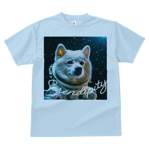 Č TVc  j[NfUCfB[X t@  t vg lJWA 킢 lԗp Mtg I ҏ΍ F Č Fsm