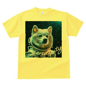 Č TVc  j[NfUCfB[X t@  t vg lJWA 킢 lԗp Mtg I ҏ΍ F Č Fsm