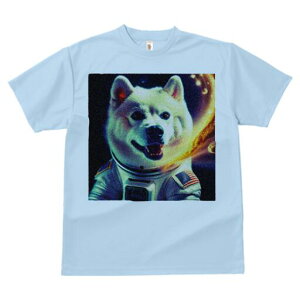 Č TVc  j[NfUCfB[X t@  t vg lJWA 킢 lԗp Mtg I ҏ΍ F Č F AJ