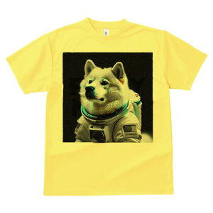 Č TVc  j[NfUCfB[X t@  t vg lJWA 킢 lԗp Mtg I ҏ΍ F Č AJ