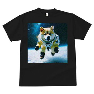 Č TVc  j[NfUCfB[X t@  t vg lJWA 킢 lԗp Mtg I ҏ΍ F Č F Xy[XVg