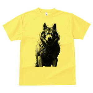 nXL[ TVc  j[NfUCfB[X t@  t vg lJWA 킢 lԗp Mtg I ҏ΍ Z nXL[  m t@^W[