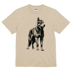 nXL[ TVc  j[NfUCfB[X t@  t vg lJWA 킢 lԗp Mtg I ҏ΍ TCo[pN nXL[ {bg 