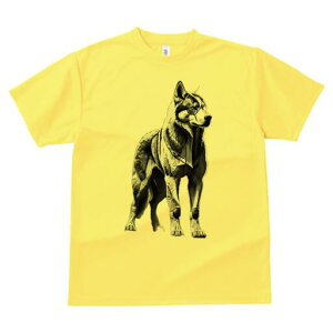 nXL[ TVc  j[NfUCfB[X t@  t vg lJWA 킢 lԗp Mtg I ҏ΍ TCo[pN nXL[ {bg 