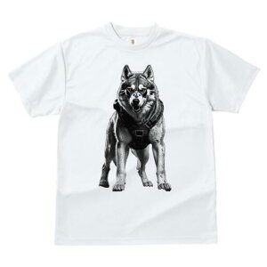 nXL[ TVc  j[NfUCfB[X t@  t vg lJWA 킢 lԗp Mtg I ҏ΍ TCo[pN nXL[  m {bg