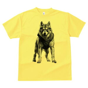 nXL[ TVc  j[NfUCfB[X t@  t vg lJWA 킢 lԗp Mtg I ҏ΍ TCo[pN nXL[  m {bg