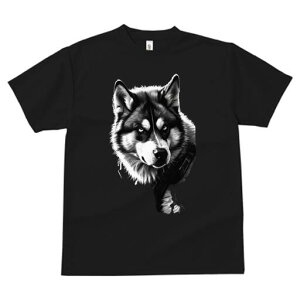 nXL[ TVc  j[NfUCfB[X t@  t vg lJWA 킢 lԗp Mtg I ҏ΍ nXL[