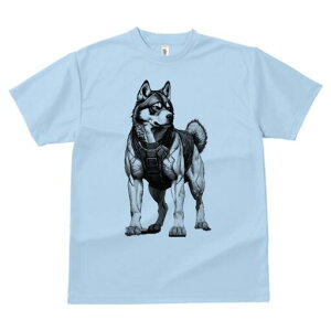 nXL[ TVc  j[NfUCfB[X t@  t vg lJWA 킢 lԗp Mtg I ҏ΍ nXL[