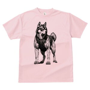 nXL[ TVc  j[NfUCfB[X t@  t vg lJWA 킢 lԗp Mtg I ҏ΍ nXL[