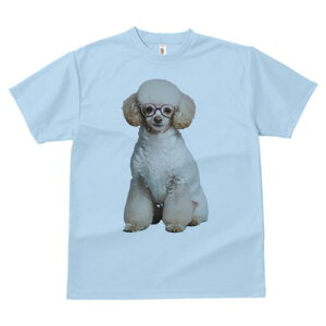 v[h TVc  j[NfUCfB[X t@  t vg lJWA 킢 lԗp Mtg I ҏ΍ Kl v[h