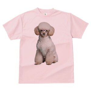 v[h TVc  j[NfUCfB[X t@  t vg lJWA 킢 lԗp Mtg I ҏ΍ Kl v[h