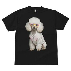 gCv[h TVc  j[NfUCfB[X t@  t vg lJWA 킢 lԗp Mtg I ҏ΍ Kl gCv[h 