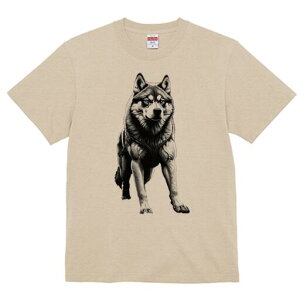 nXL[ TVc  j[NfUCfB[X t@  t vg lJWA 킢 lԗp Mtg I ҏ΍ nXL[