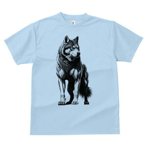 nXL[ TVc  j[NfUCfB[X t@  t vg lJWA 킢 lԗp Mtg I ҏ΍ nXL[