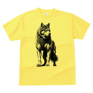 nXL[ TVc  j[NfUCfB[X t@  t vg lJWA 킢 lԗp Mtg I ҏ΍ nXL[