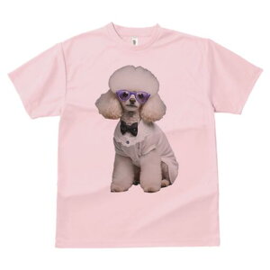 v[h TVc  j[NfUCfB[X t@  t vg lJWA 킢 lԗp Mtg I ҏ΍ lN^C v[h ዾ 