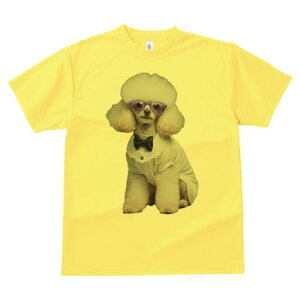 v[h TVc  j[NfUCfB[X t@  t vg lJWA 킢 lԗp Mtg I ҏ΍ lN^C v[h ዾ 