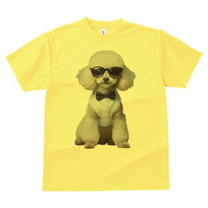 gCv[h TVc  j[NfUCfB[X t@  t vg lJWA 킢 lԗp Mtg I ҏ΍ lN^C gCv[h TOX Vc