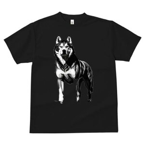 nXL[ TVc  j[NfUCfB[X t@  t vg lJWA 킢 lԗp Mtg I ҏ΍ nXL[