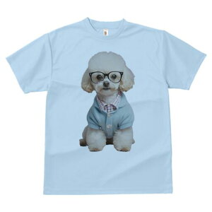 gCv[h TVc  j[NfUCfB[X t@  t vg lJWA 킢 lԗp Mtg I ҏ΍ Kl gCv[h Vc J[fBK