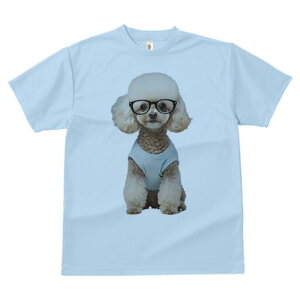 gCv[h TVc  j[NfUCfB[X t@  t vg lJWA 킢 lԗp Mtg I ҏ΍ Kl gCv[h TVc