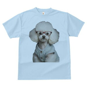 gCv[h TVc  j[NfUCfB[X t@  t vg lJWA 킢 lԗp Mtg I ҏ΍ Kl gCv[h Z[^[