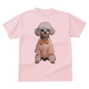 gCv[h TVc  j[NfUCfB[X t@  t vg lJWA 킢 lԗp Mtg I ҏ΍ Kl gCv[h Z[^[ lN^C