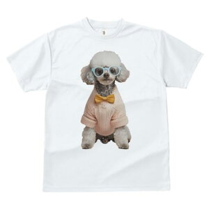 gCv[h TVc  j[NfUCfB[X t@  t vg lJWA 킢 lԗp Mtg I ҏ΍ Kl gCv[h Z[^[ lN^C