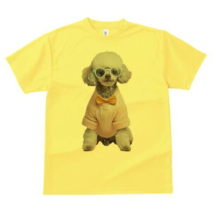 gCv[h TVc  j[NfUCfB[X t@  t vg lJWA 킢 lԗp Mtg I ҏ΍ Kl gCv[h Z[^[ lN^C