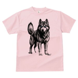 nXL[ TVc  j[NfUCfB[X t@  t vg lJWA 킢 lԗp Mtg I ҏ΍ nXL[