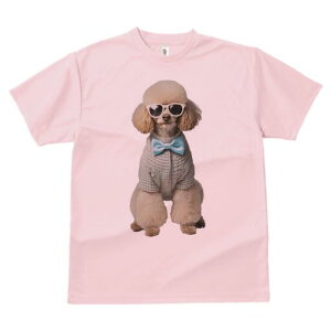 v[h TVc  j[NfUCfB[X t@  t vg lJWA 킢 lԗp Mtg I ҏ΍ TOX v[h lN^C Z[^[