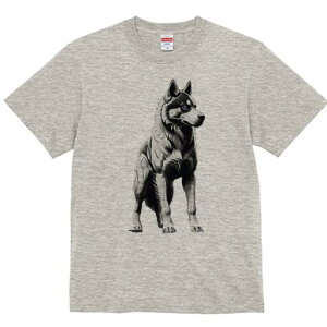 nXL[ TVc  j[NfUCfB[X t@  t vg lJWA 킢 lԗp Mtg I ҏ΍ nXL[