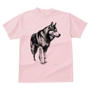 nXL[ TVc  j[NfUCfB[X t@  t vg lJWA 킢 lԗp Mtg I ҏ΍ nXL[