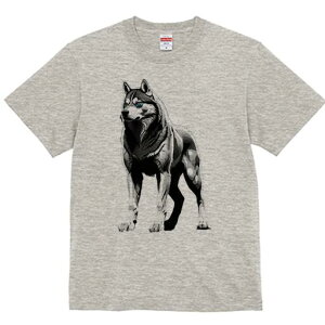 nXL[ TVc  j[NfUCfB[X t@  t vg lJWA 킢 lԗp Mtg I ҏ΍ nXL[