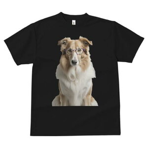 R[ TVc  j[NfUCfB[X t@  t vg lJWA 킢 lԗp Mtg I ҏ΍ Kl R[