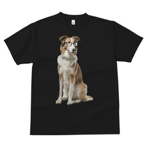 {[_[R[ TVc  j[NfUCfB[X t@  t vg lJWA 킢 lԗp Mtg I ҏ΍ Kl {[_[R[