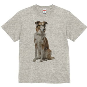 {[_[R[ TVc  j[NfUCY LbY t@  t vg lJWA 킢 lԗp Mtg I ҏ΍ Kl {[_[R[