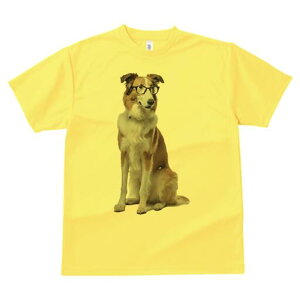 {[_[R[ TVc  j[NfUCY LbY t@  t vg lJWA 킢 lԗp Mtg I ҏ΍ Kl {[_[R[