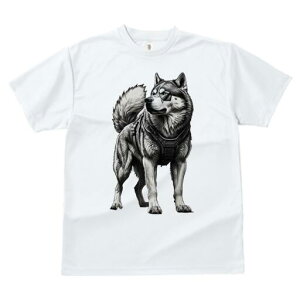 AXJ}~[g TVc  j[NfUCfB[X t@  t vg lJWA 킢 lԗp Mtg I ҏ΍ n[lX AXJ}~[g