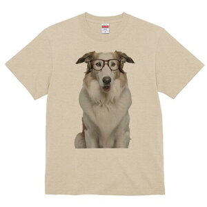 {[_[R[ TVc  j[NfUCfB[X t@  t vg lJWA 킢 lԗp Mtg I ҏ΍ Kl {[_[R[